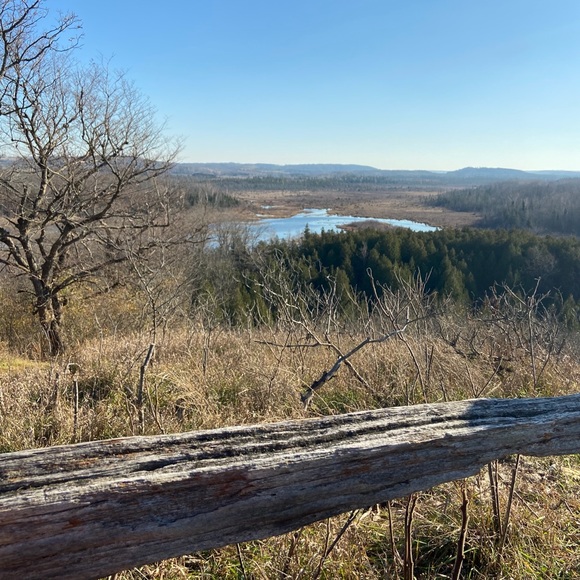 Meet your Posher, Rebecca - Picture 2 of 4